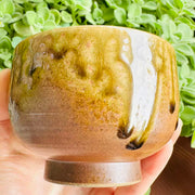 Hand painted goldfish jianware teacup