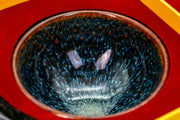 Golden peacock jianware bowl with spoon