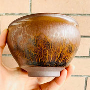 The fire kirin woodfired jianware teacup