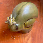 tea green turkey jianware tea pet